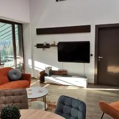 Forest View Silver M B34 Poiana Brasov