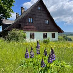 Chalupa u kapličky Říčky v Orlických horách