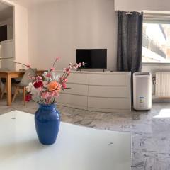 Bel Apt centre menton Centre proche Casino