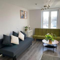Modern and Cosy 1-Bed Apt in the Heart of Dublin