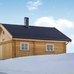 Nice Home In Kongsberg With Sauna, 3 Bedrooms And Wifi