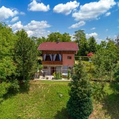 Pet Friendly Home In Dragovanscak With Wifi