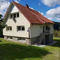 Holiday house with a parking space Vrbovsko, Gorski kotar - 20539