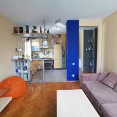 Spacious Apartment with free parking in Kaunas