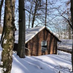 Schwedische Winter Hütte unter Buchen