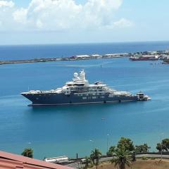 Belle vue côté mer sur l'arrivé des paquebots,