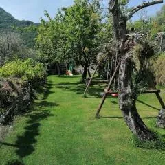 Casa Andreina