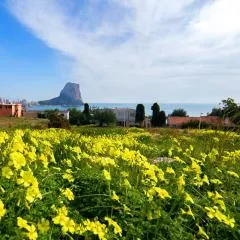 Homeincalpe Borumbot