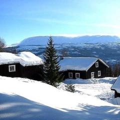 Hjartdal Fjellstoge & Storhytte