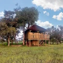 Chobe Hideaway