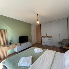 Minimalist 3 Studio Brasov