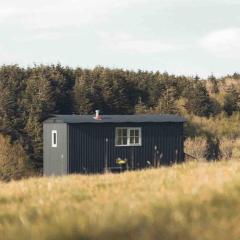 Dog friendly Beautifully furnished Shepherds Hut set in the Kent Countryside