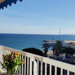 Frejus Plage Le Mediterranee, Magnifique T2, 38m2,