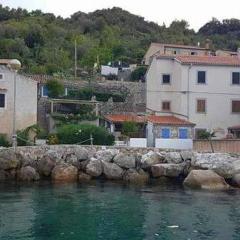 Apartments by the sea Valun, Cres - 20860