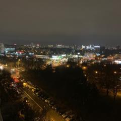 Bucharest View 1