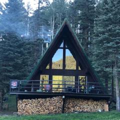 Elk Run A-frame House With Hot Tub And High Speed Wifi