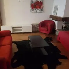 hypercentre meublé