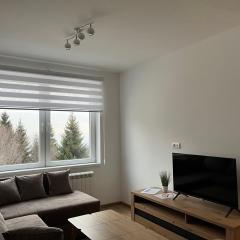 Iznad oblaka 2 Apartman 2