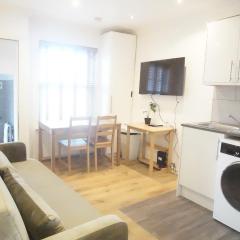 Evergreen Apartments-Flat 4, London
