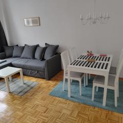 Apartament Zieleniec