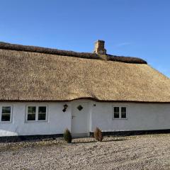 Holiday Home Aughe - 25km from the sea in Western Jutland by Interhome