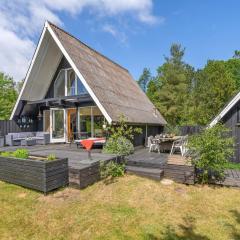 Holiday Home Jütte - 2km to the inlet in The Liim Fiord by Interhome