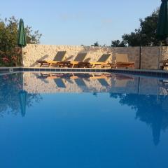 Villa Antonija heated private pool, near Dubrovnik,8plus 2 p ideal for families and groups