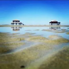 Maison jardin 3 ch centre ville Bassin Arcachon