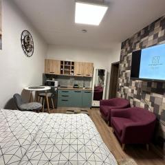 Studio Apartman 4YOU CITY MAX