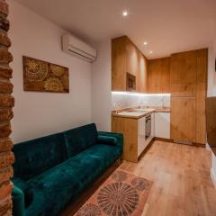 Luxury flat Salamanca V