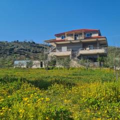 Guest House Ilir