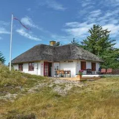 Nice Home In Ringkbing With Kitchen