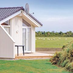 Friedrichskoog-Deichblick 22