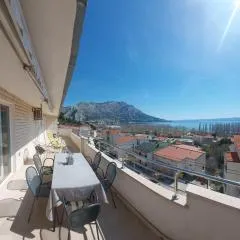 Apartment Vrle