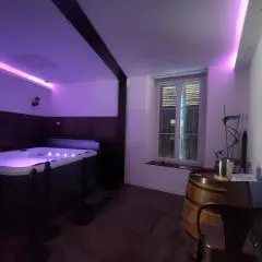 Appartement Spa - Jacuzzi privatif - Fer Rêver 63