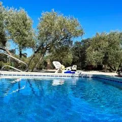 Casa de Campo La Mejorana Refugio andaluz con piscina entre olivos