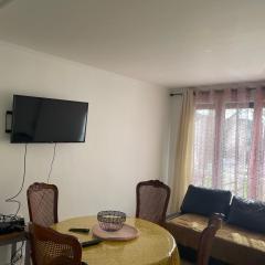 Grand Appartement spacieux à Évreux