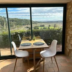 Grand T2 bis avec terrasse et vue