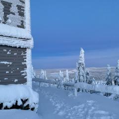 Tunturihuoneisto LAAKEUS