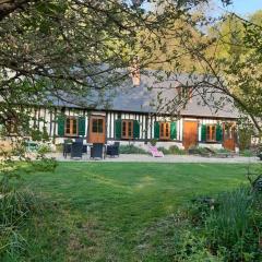 les orchidees sauvages