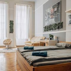 BIG APARTMENT IN THE CITY CENTRE