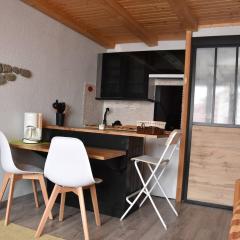 Studio Pralognan-la-Vanoise, 1 pièce, 4 personnes - FR-1-464-2