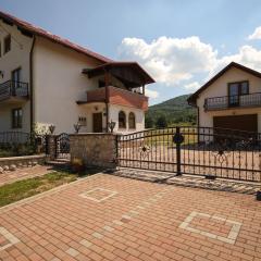 Apartments with a parking space Licko Lesce, Velebit - 20985