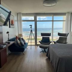 Quiberon - Studio rénové 35m² avec parking et wifi - FR-1-478-39