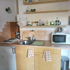 Charmant studio au Sauze pour 3 pers. avec balcon, box à ski et option ménage - FR-1-165A-171