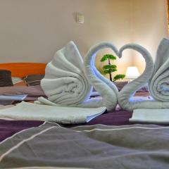 RAJSKI BOR TARA Trosoban