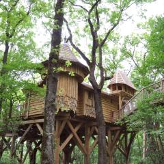 Châteaux dans les Arbres