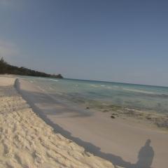 Coconutbeach Bungalows