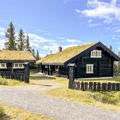 Awesome Home In Sjusjen With House A Mountain View