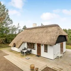 3 Bedroom Beautiful Home In Ringkbing